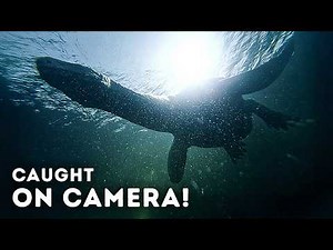 Witnesses Keep Spotting Something Strange in Loch Ness in 2026
