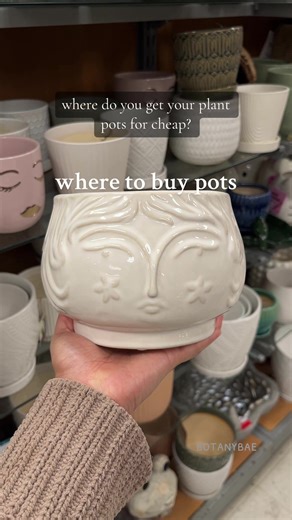 support handmade when you can! but these are my favorite places to buy pots for cheap #plantsoftiktok #planttok #planttiktok #plantparent #houseplants #plantcare #planter #pot #planthelp #planttips #planthacks #fyp