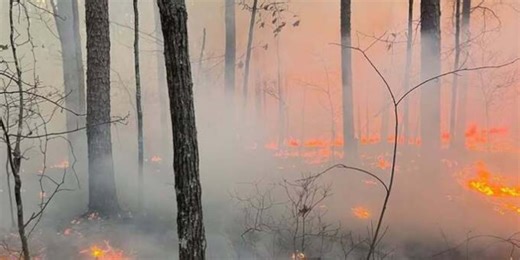 Wildfire leads to evacuations in southern Douglas County, Mo.