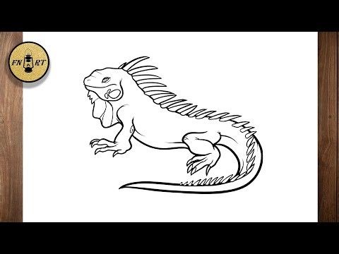 How to draw a iguana realistic easy step by step
