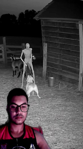 Criatura assustadora e vista de madrugada em vazenda. #viral #react #flypシ #foryou #horror #medo #terror | Rogério React