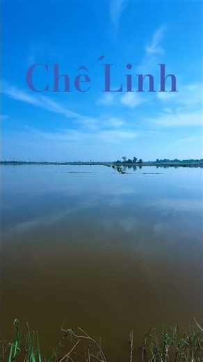 Nhạc vàng hay nhất | Ca sĩ Chế Linh | #shorts #chelinh #nhacvang #nhaclinh