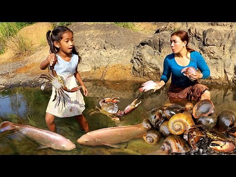 Top survival of mother with daughter in forest- Catch and cook fish & snail +2food more videos