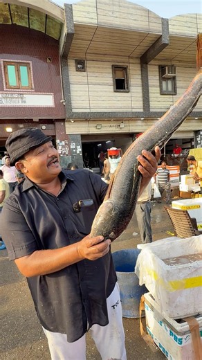 Amazing 5KG Big Sole Fish In Ghazipur Fish Market India Delhi #shortvideo #fishing #rrrm