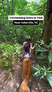 ☀️ 3 Swimming Holes to Visit Before Summer Ends 👙 There’s still time for a last-minute soak in cold, refreshing mountain water! Featured in this reel: 📍Courthouse Falls - a short trail to a stunning 45-foot waterfall 📍Looking Glass Falls - one of NC’s most iconic roadside cascades—no hike required 📍Whaleback Falls - a local’s favorite beside a smooth, whale-shaped rock ✨Here's a link to 6 other swimming holes you need to see before summer ends: https://bit.ly/3Jhu89k 🎥: Rachel B. Pressley P