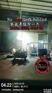 ⚠️ Warning, Disturbing content ⚠️ Yulin 4am on June 21, 2025 …😡 this is Yulin 365 days a year…not only during the Yulin Festival…dog meat is consumed here as well as other areas throughout East Asia 365 days a year 😢 The barbaric slaughter of dogs in East Asia is happening 365 days a year. Please help us save lives 365 days a year. Dogs are family. Dogs are not food. Please donate to support our work 365 days a year. Link in bio on Instagram or visit https://nodogsleftbehind.networkforgood.com