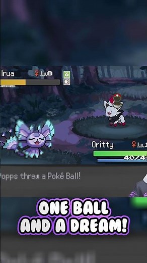 I forgot something in Pokemon Infinite Fusion: Hoenn.