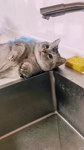 MeiMéi on Instagram