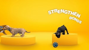 Watch JW Play Toys on Amazon Live