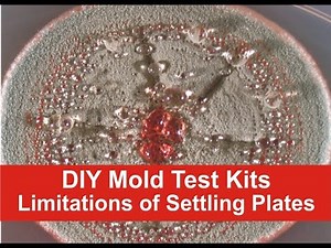 DIY Mold Test Kits - Limitations of Settling Plates