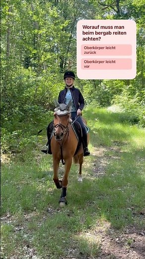 Pferde Quiz 🐴✨ #shorts #klaraswelt