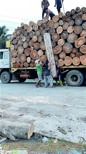 Lifting the Log: The Final Human Heave onto a Stacked Timber Truck