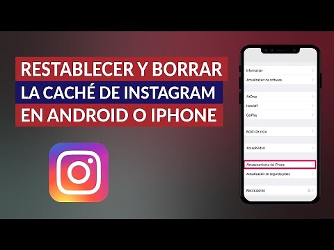 Cómo Restablecer y Borrar la Caché de Instagram en Dispositivos Android o iPhone