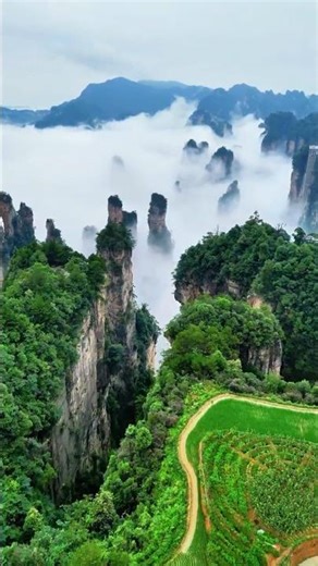 UNBELIEVABLE! China's AVATAR Mountains | Zhangjiajie National Forest Park #travel #avatar #nature