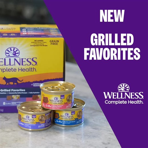 Flavors cats crave in every can. Pamper your cat with Wellness Complete Health for balanced, high-quality nutrition. | PetSmart