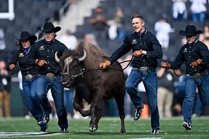 Colorado’s mascot Ralphie VI to retire due to ‘indifference to running’