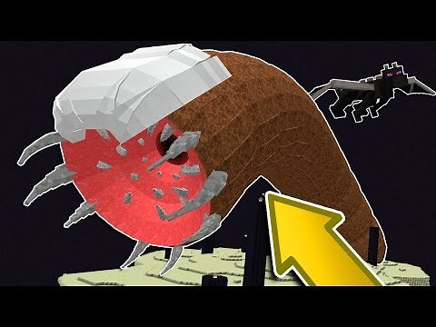 THE UNKILLABLE MINECRAFT BOSS vs THE ENDER DRAGON!!