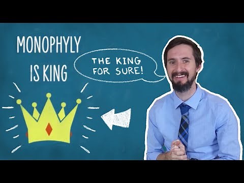 Clint Explains Phylogenetics - Why Monophyly is King!