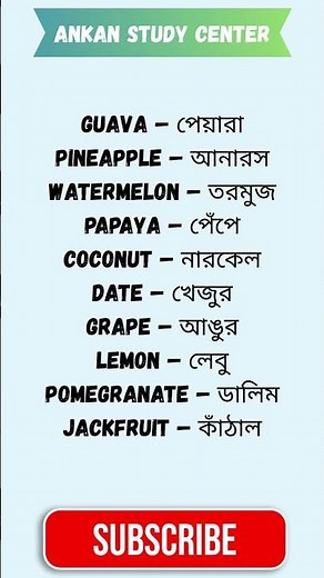 English to Bengali Dictionary Words for Beginners