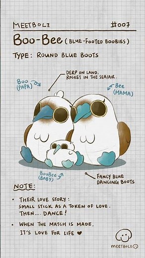 Meet Boo-Bee, the round Blue Boots Family! #BooBee #BlueFootedBooby #2danimation #animalfacts