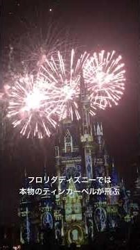 本物のティンカーベルが飛ぶフロリダディズニーのフィナーレ