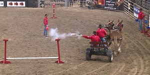 Revived Fort Riley Mounted Color Guard performs at EquiFest