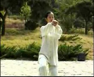 Tai Chi 42 Forms Part 4 - Teach