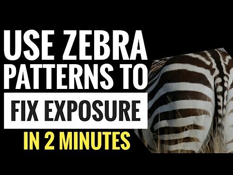 Tutorial: Zebra Patterns on Panasonic Lumix