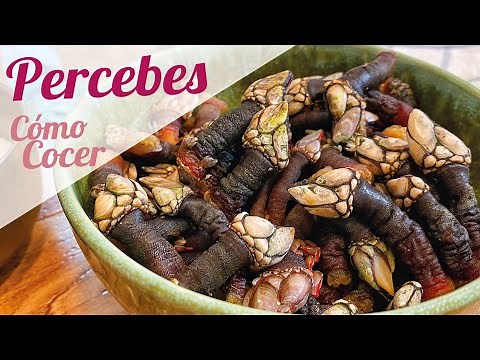 COMO COCER PERCEBES | TRUCO 🌟 COMO COMER PERCEBES