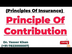 Principles Of Insurance | Principle Of Contribution | Insurance