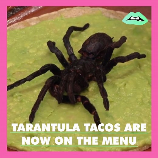 928K views · 56 shares | Be honest, would you try this taco?  | Inappropriate & Unfiltered Momma | Facebook