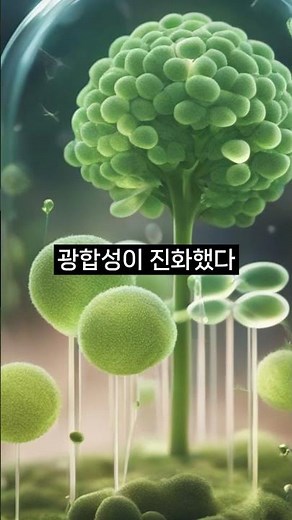 원핵세포의 출현 #과학 #사이언스 #생명