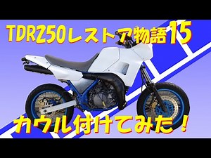 TDR250レストア物語15・・・カウル付けてみた