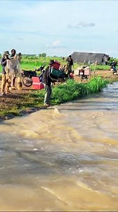 A village fisherman throw cast net to catch fish under stream water #fishing #fishinglife #fishingdaily #usa #rural | Nimit Village