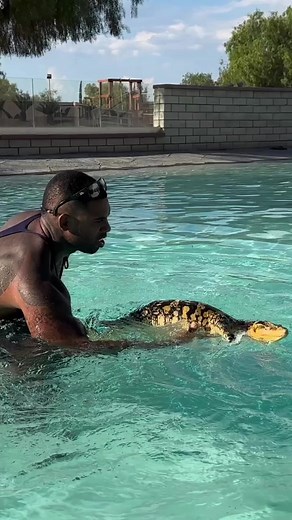 I’m speaking English to a reptile 🦎 but it’s all about your body language and energy…that’s the key to lizard communication ✨🤝🏾 first swim turned out alright kid👍 - - - #snake #lizard #toucans #reptilelover #snakes #gecko #pet #animals #nature #lizards #pets #animal | The Real Tarzann