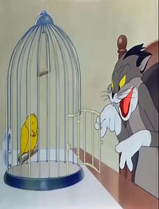 LOONEY TUNE _ CLASSIC CARTOON | Resort Comics
