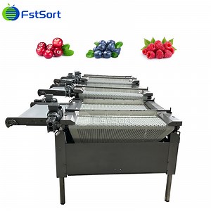 [Hot Item] 3 1 Grade Blueberry Sorting Machine, Blueberry Grading Machine, Raspberry Sorting Machine