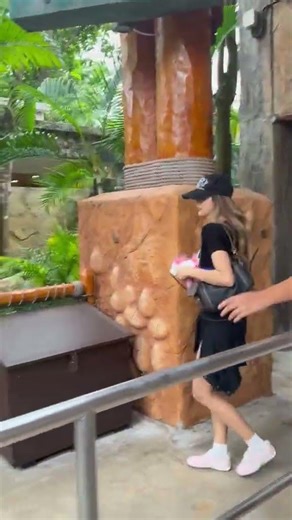 LISA & BLACKPINK: The Ultimate Visual Edit | 4K [2026]