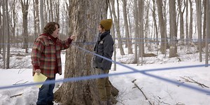How Canada’s Famous Maple Syrup Heist Became a Delicious Dark Comedy