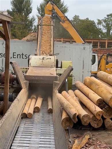 This video shows a natural, uninterrupted moment from a working sawmill during a normal production shift. The camera quietly records what happens in the space as part of everyday operations, without narration, background music, or added explanation. The scene reflects a real working environment where wood is managed routinely as part of an ongoing workflow. The focus remains on the overall setting and the steady continuation of daily tasks. Many viewers enjoy watching real-life workplace footage