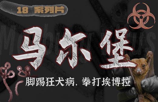 【传染病系列18】血疫马尔堡: 让人体融化的4级病毒 非洲神秘洞穴的瘟疫