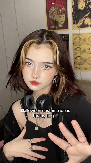 Spooky Halloween Costume Ideas for Dogs🐶🦇