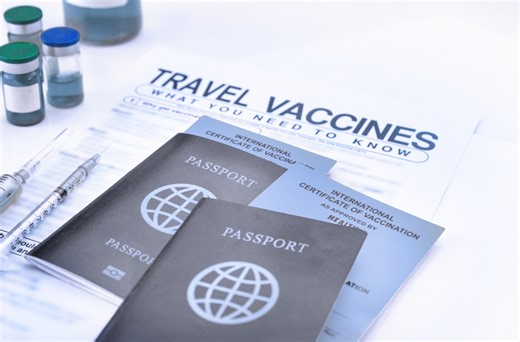 Vaccine Passports and Databases: Privacy vs. Public Health