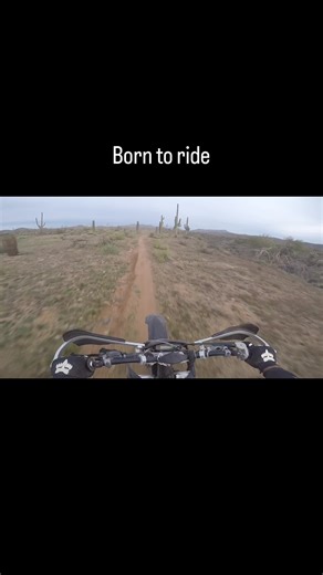 Silly Moments with 2-Stroke KTM