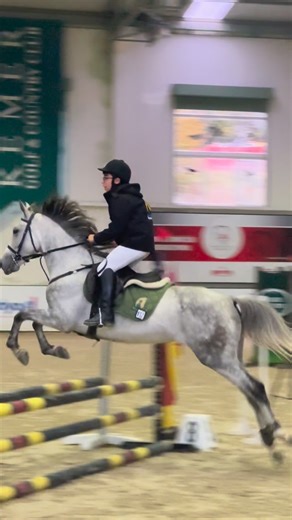 ‎AL-Asil Equestrian Club نادي الأصيل للفروسية 🐎‎ on Instagram: "1. Olarak Tamamladı 🤠🔥🥇🏆 23 kasım Pazar günü Kemer Country Club’ta gerçekleşen Engel Atlama yarışmalarında 70 cm parkurunu değerli binicimiz Ahmet Şamil 1. Olarak tamamladı 🔥❤️👏🏼 Binicimizi tebrik ederiz ve devamını dileriz✨🤝 #alasil_equestrian_club #yarışma #engelatlama #kcc #binicilik"