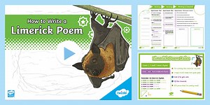 Limerick Poems Lesson Teaching Pack