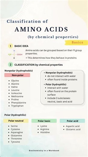 Why amino acid classification finally makes sense. #biochemistry #biology #aminoacids