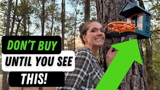 Watch Everything you need to know about this bird feeder! on Amazon Live