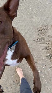 Hunger for Words on Reels