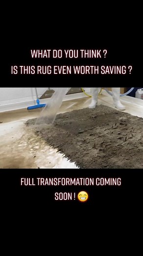 Dirty Rug Rinse Transformation